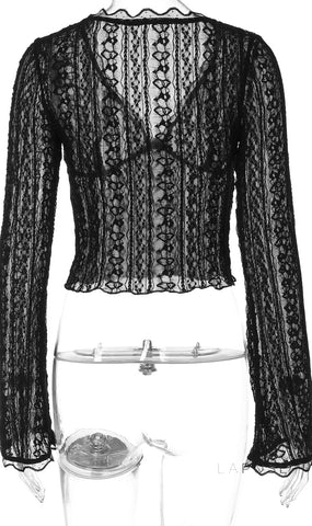 Kim Sheer Lace V-Neck Top
